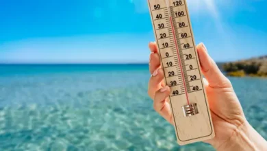 البحار تغلي.. وأوروبا تحت وطأة الحر والجفاف