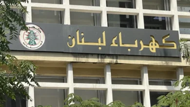 "كهرباء لبنان" توضح ملابسات التّخلص من المواد الكيميائيّة