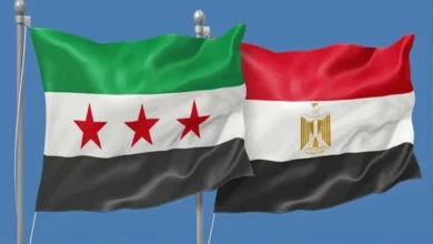 السوريون في مصر... ماذا طلبت منهم سفارة بلادهم؟