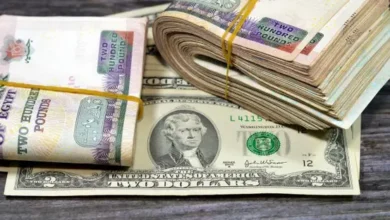 الأموال الساخنة تعود للخروج من مصر