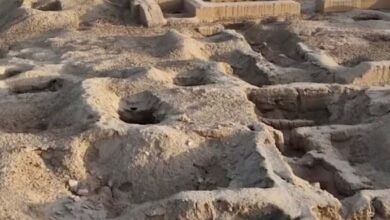 مقطع متداول يوثق حجم التخريب في مدينة ماري الأثرية شرقي سوريا (فيديو)