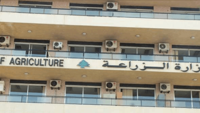 تجنبًا للحرائق.. تعميم لتنظيف الغابات وتنظيم الرعي