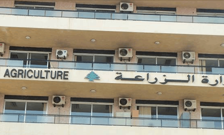 تجنبًا للحرائق.. تعميم لتنظيف الغابات وتنظيم الرعي