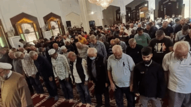 شريفة: الجنوب يحتاج إلى خطة لا بيانات