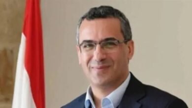 خطة طارئة لـ"الزراعة".. قطع استثنائي للأشجار اليابسة حتى 2027
