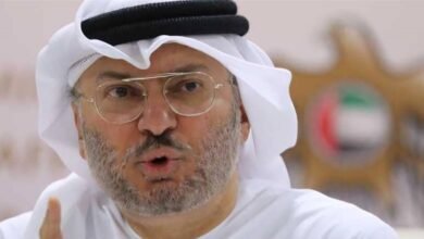 قرقاش: سنصون حقوقنا في استخدام مضيق هرمز وفقا للقانون الدولي