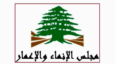 مجلس الإنماء والإعمار: لاسترجاع المواد الكيميائية من مرج بسري ومعالجتها وفق الأصول