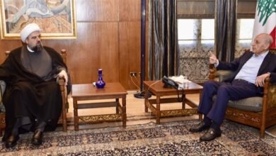بري عرض مع المفتي قبلان للأوضاع العامة... واستقبل غراسيا القزي والمجلس البلدي لمدينة بيروت