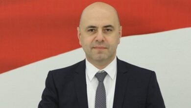 حاصباني لبراك: أي حلّ يجب أنّ يمرّ عبر الدولة اللبنانية ومؤسساتها الشرعية