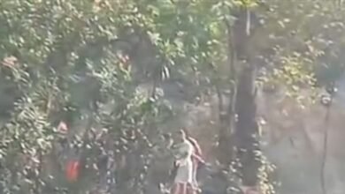 في عيون السمك.. هذا ما جرى بين عدد من الشبان (فيديو)