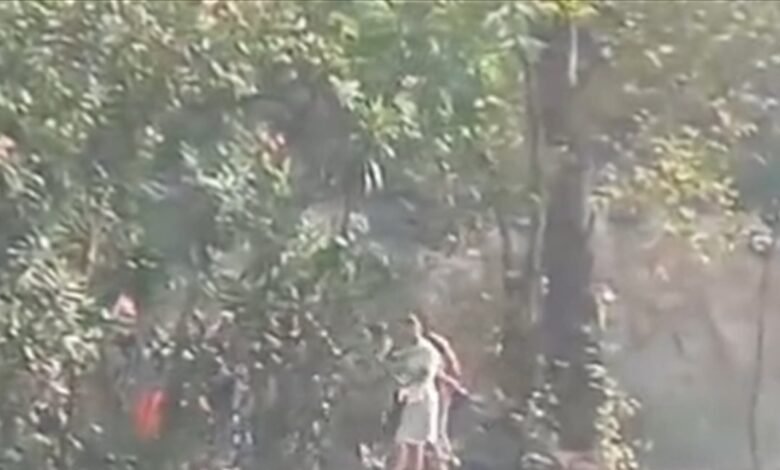 في عيون السمك.. هذا ما جرى بين عدد من الشبان (فيديو)