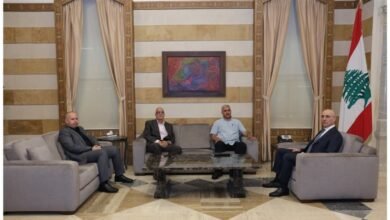 وزير الداخلية استقبل أبو فاعور والصايغ وعرض مع وفد من بريتال شؤونا إنمائية