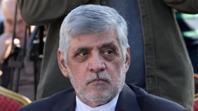 "تسوية لبنانية" لملف السفير الايراني: شيباني باقٍ في بيروت