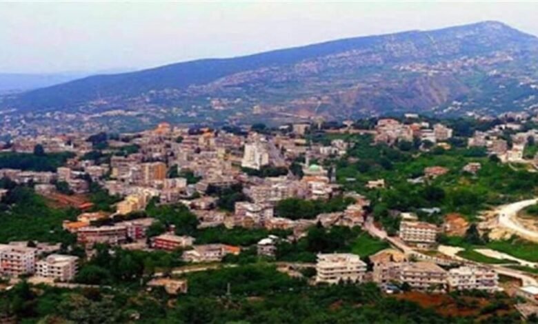 بعدما نهش وجه طفل قبل يومين.. هجوم ثان للكلب الشارد في المنية وهذا ما حلّ به (صورة)