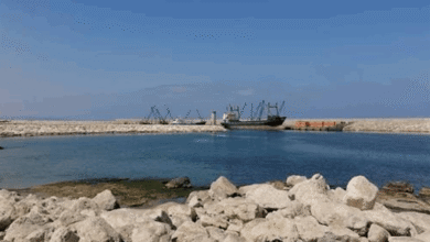 بعد غياب منذ التسعينيات... باخرة سياحية ترسو في ميناء صيدا