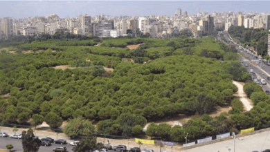 برعاية محافظ بيروت.. حملة لتنظيف حرش بيروت