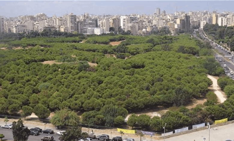 برعاية محافظ بيروت.. حملة لتنظيف حرش بيروت