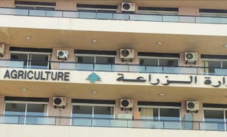تسجيل حالات مرضيّة لدى الأبقار في القرعون... وبيانٌ توضيحيّ من وزارة الزراعة