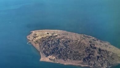 لماذا استهدفت واشنطن جزيرة لارك؟
