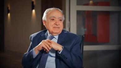 سلامة استقبل رئيس بعثة "اليونيفيل" وبحثا في الشؤون العامة