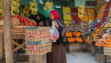 صادرات مصر الغذائية تتجاوز 4.4 مليارات دولار في 7 أشهر
