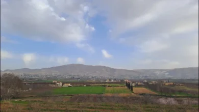 بعلبك - الهرمل خلف الجدران: أبناء وآباء ضحايا سموم الترويج