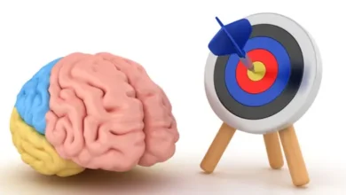 الأوركسين.. مادة كيميائية تدفع الإنسان لتحقيق أهدافه