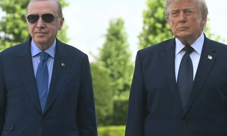 "دعما لجهود السلام".. أردوغان يبحث مع ترمب ملفات إيران وغزة