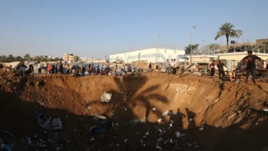 الفاو: 97% من الأراضي الزراعية في غزة تضرّرت