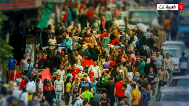 "كراكون.. باشا.. أوضة".. أصل كلمات ينطقها المصريون يومياً