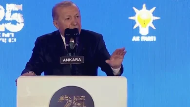 ربع قرن للعدالة والتنمية.. أردوغان يستعرض منجزات حزبه وملامح المرحلة القادمة