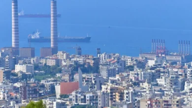 بيان لوزارة البيئة بشأن المواد الكيميائية الموجودة في معملي الزوق والجية