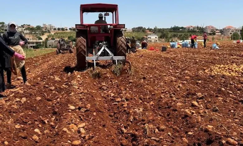 لبنان... 18.5 مليون دولار منحاً لدعم المزارعين والتعاونيات