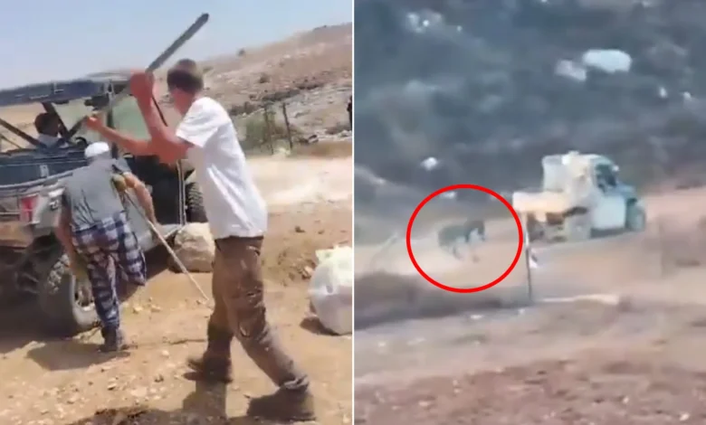 ضرب مسن وسحل حيوان.. مشاهد مروعة لإرهاب المستوطنين بالضفة
