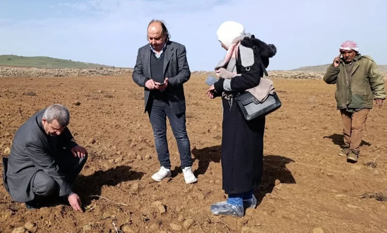 آلاف الدونمات الزراعية في القنيطرة تضررت جراء المبيدات الإسرائيلية