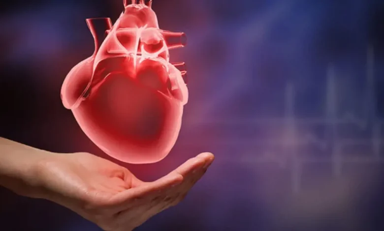 اليابان تجري أول عملية عالمية بخلايا جذعية لعضلة القلب