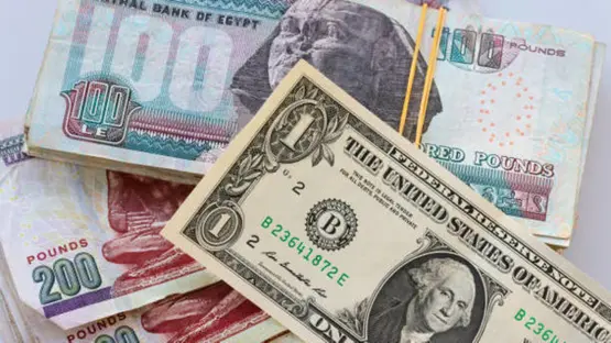 الأموال الساخنة تعود إلى مصر
