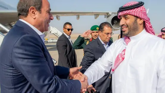 أكد على وحدة المصير بين البلدين.. السيسي: أمن السعودية امتداد للأمن القومي المصري