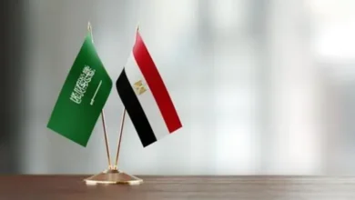 مصر تدين الهجمات التي استهدفت عدداً من المدن السعودية
