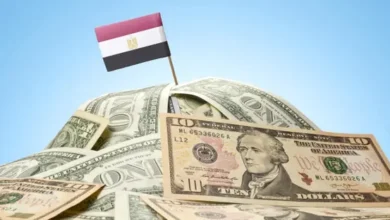تحويلات المصريين العاملين بالخارج تقفز إلى 29.7 مليار دولار خلال 7 أشهر