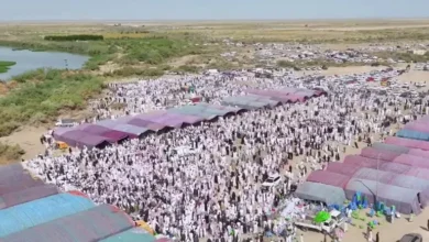 أكثر من 1000 رأس من الغنم والإبل في وليمة زفاف بالعراق.. فما القصة؟