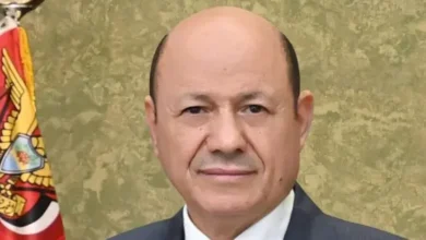 رئيس مجلس القيادة اليمني: لن نسمح لإيران وميليشياتها بالسيطرة على باب المندب