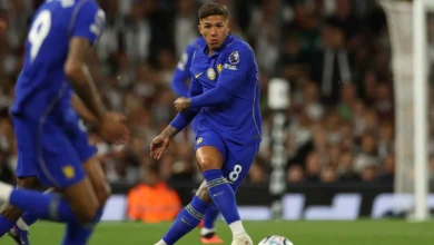 إنزو فرنانديز أغلى لاعب في تاريخ الدوري الإنكليزي