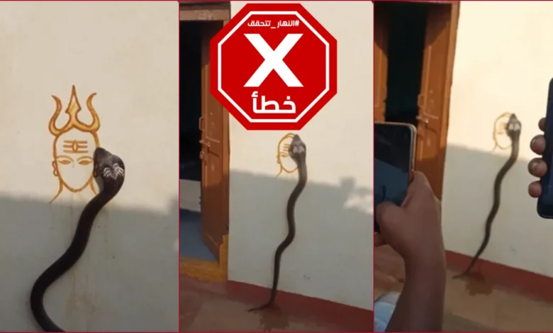 ظاهرة مخيفة في منزل شيخ... ثعبان يرسم أشكالاً غريبة؟ النهار تتحقق FactCheck