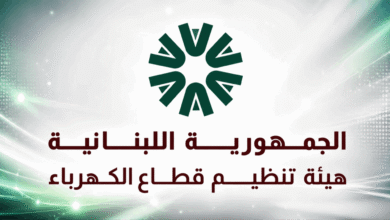 فرصة جديدة للمستثمرين في قطاع الكهرباء.. إليكم التفاصيل