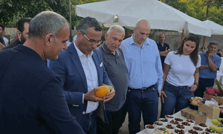 من وزارة الزراعة.. مشروع لتوزيع الشتول على 1150 مزارعاً