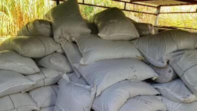 في بيروت وصيدا.. الجمارك اللبنانية تضبط مواد غذائية وسكاكر ومشروبات غازية مهرّبة