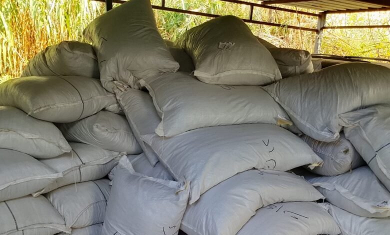 في بيروت وصيدا.. الجمارك اللبنانية تضبط مواد غذائية وسكاكر ومشروبات غازية مهرّبة
