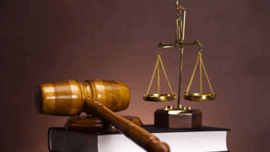 بعد توقيع قانون العفو... اتصالات لافتة يتلقاها محامون!