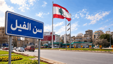 إشكال في سنّ الفيل يستنفر الجيش.. واتصالات لتطويق التداعيات